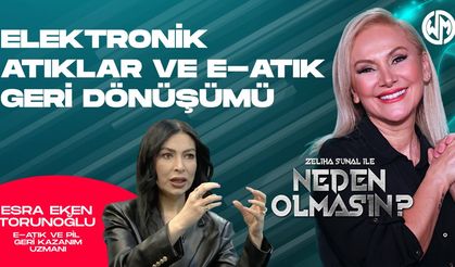 Atıklar Ve E-Atık Geri Dönüşümü