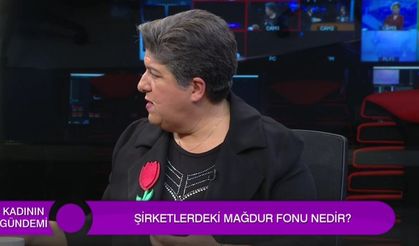 ŞİDDETİN NEDENLERİ NELER?