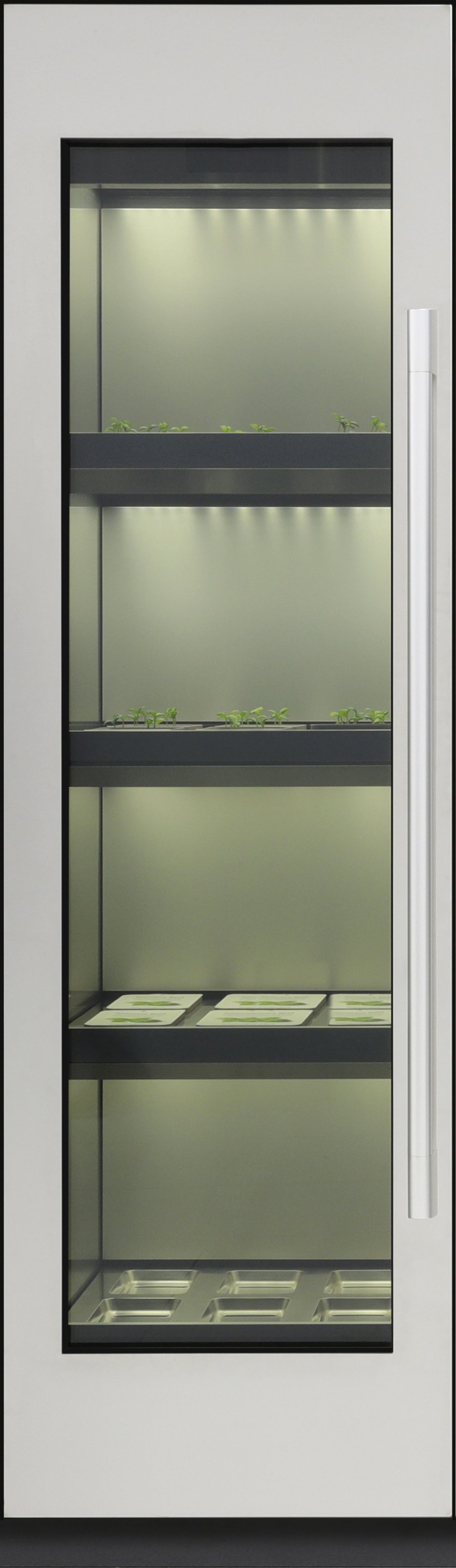 1577432301-lg-indoor-garden-02.jpg