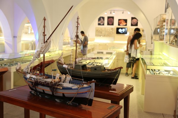 1592386042-bodrum-deniz-m-zesi.jpg