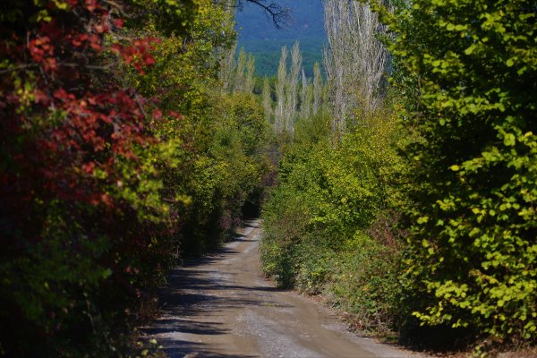 1592643916-ogm-osmanli-goc-yolu-7.jpg