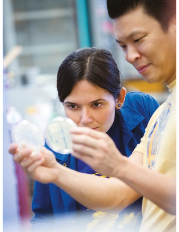 1603437563-lab-3.png