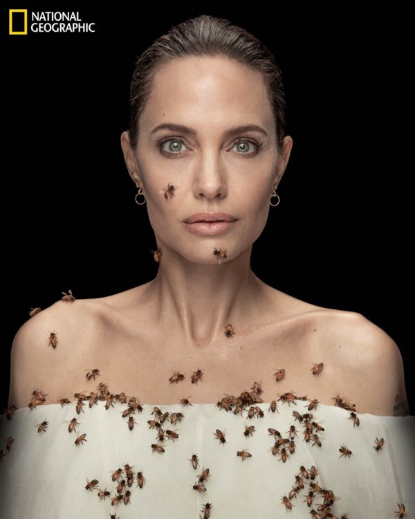 1621922092-angelin-jolie2.jpg
