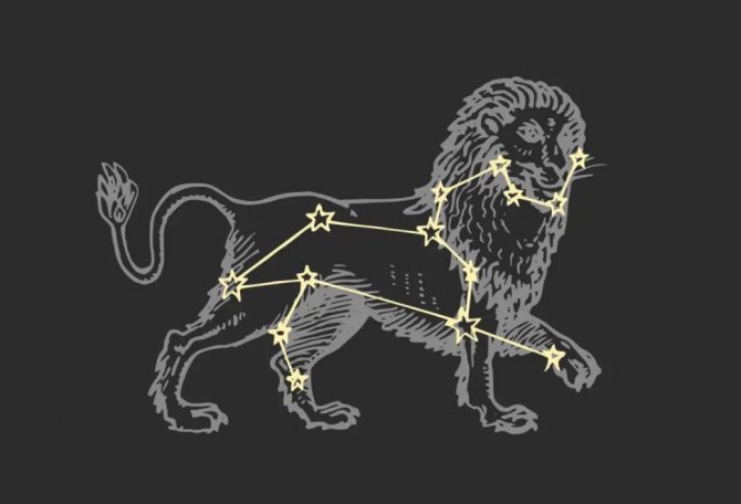 aslan-003.jpg