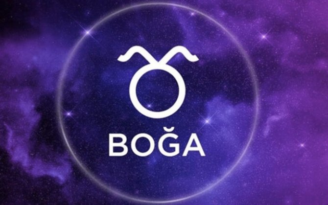 boga-hnbn-cover-696x435.jpg