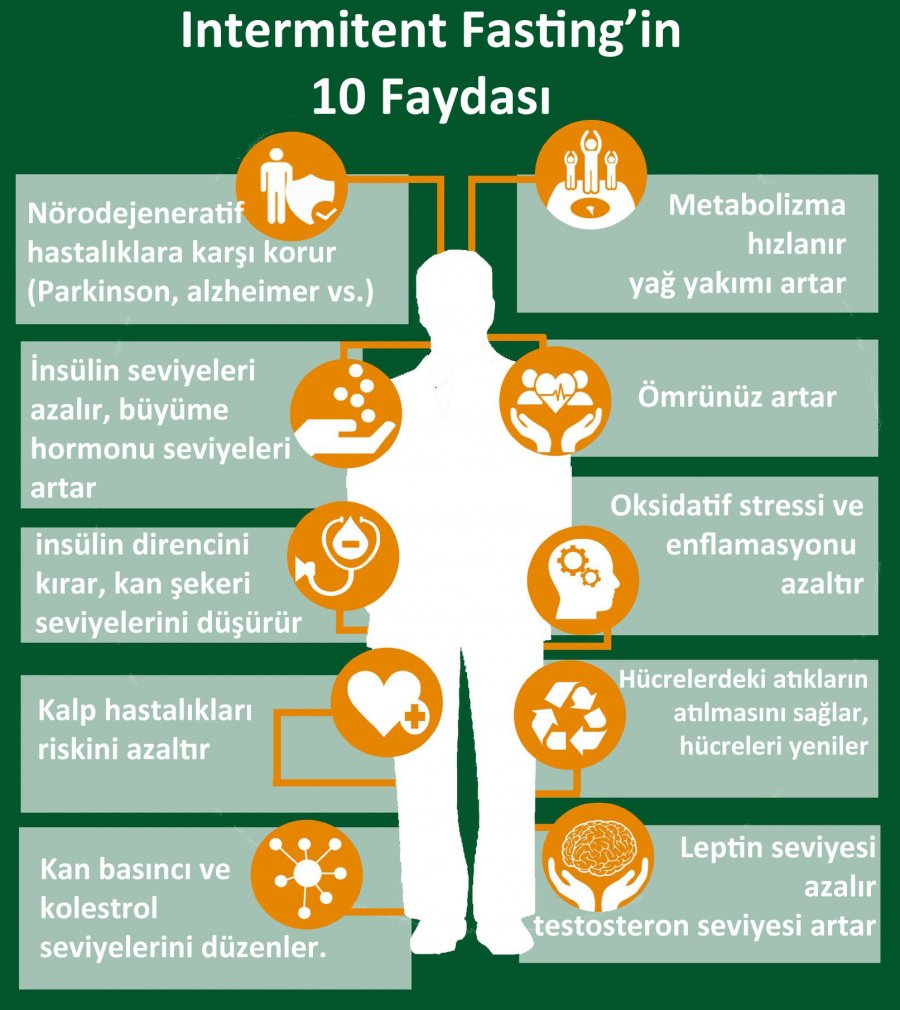 if-faydalari.jpg