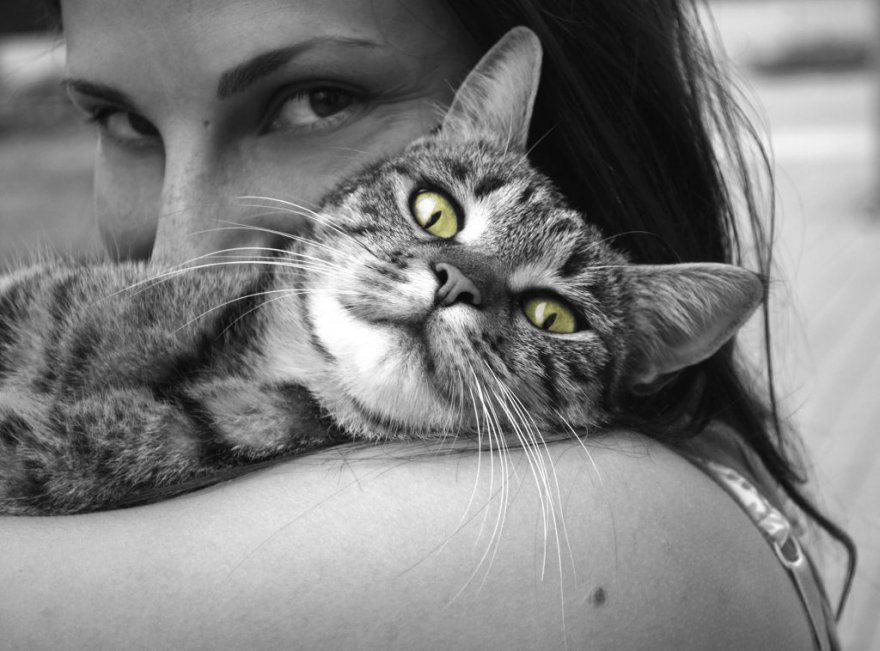 kedi-ve-kadin-1024x758.jpg