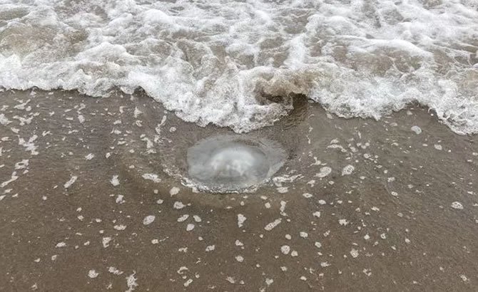mersin-3.jpg