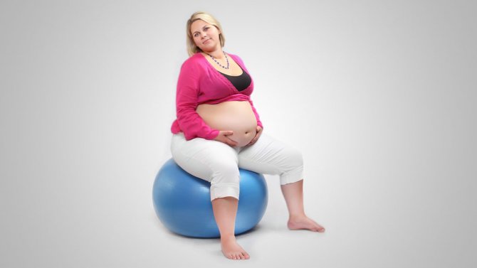 obese-mother1.jpg