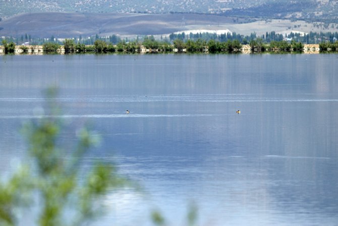 s2-005.jpg