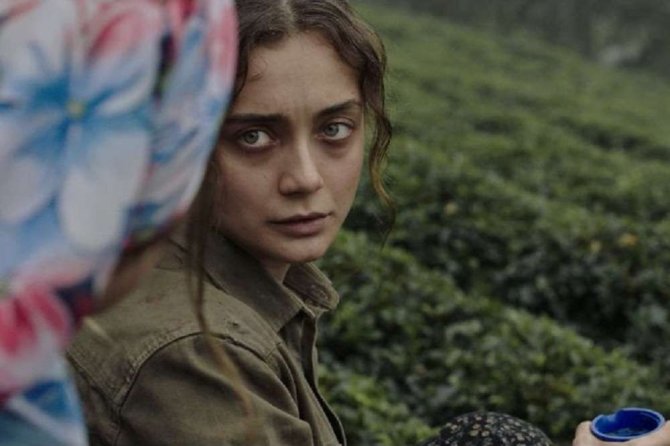 sibel-damla-sonmez.jpg