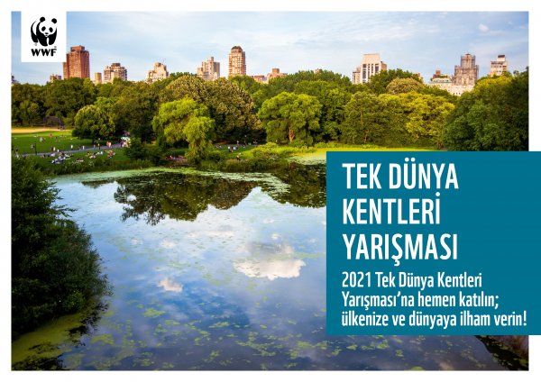 tek-dunya-kentleri-2021-kapak.jpg