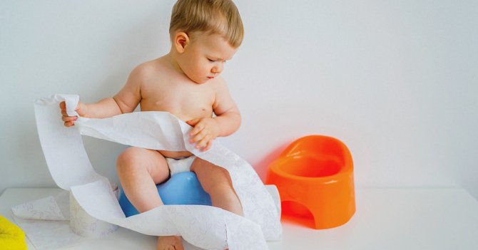 toddler-boy-potty-training-1200x628-facebook.jpg