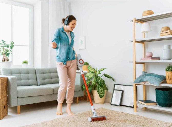 woman-doing-cleaning-the-house-2.jpg