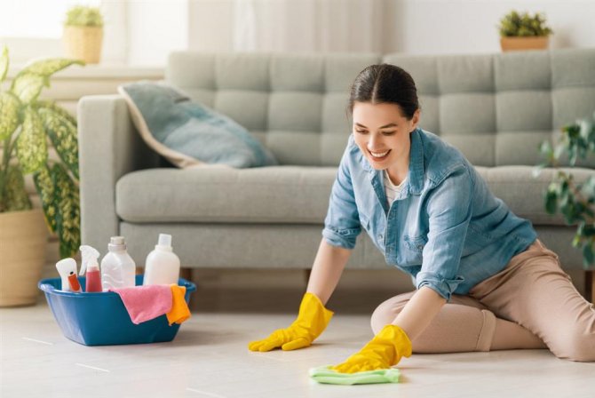 woman-doing-cleaning-the-house.jpg
